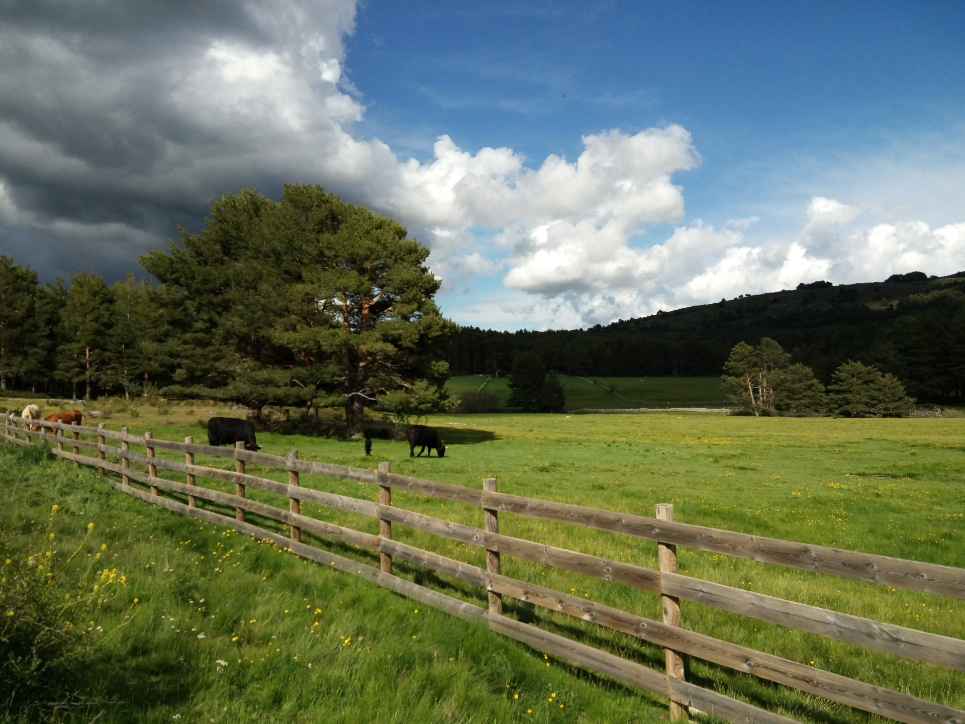 Praderías del entorno de la sierra